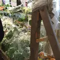 道の駅富楽里とみやまの写真_56478