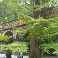 南禅寺の写真_568408