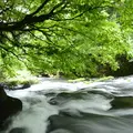 立岩水源公園の写真_57329