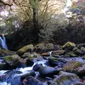 旅館藤もとの写真_57398