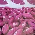 くるくる なるとの写真_574222