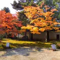 随心院の写真_57539