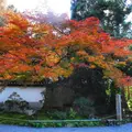 南禅寺の写真_57554