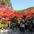 永観堂（禅林寺）の写真_57559