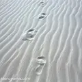 Parque Nacional dos Lençóis Maranhensesの写真_57576