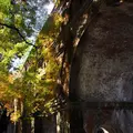 水路閣の写真_57608