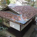 鞍馬山の写真_57626