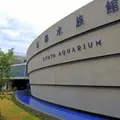 京都水族館の写真_58145