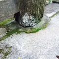 津門神社の写真_58168