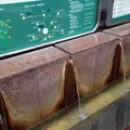 駅前高等温泉の写真_58246