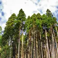 貴船口駅の写真_58406