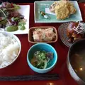 エコヴィレッジ西表の写真_5841