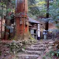 鞍馬山の写真_58411