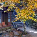 鞍馬山の写真_58420