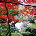 詩仙堂丈山寺の写真_58481