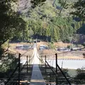 塩郷の吊り橋の写真_58488