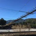 塩郷の吊り橋の写真_58490