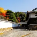 随心院の写真_58602