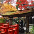 鞍馬寺の写真_58611