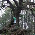 満願寺の写真_58772