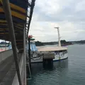 海中水族館シードーナツの写真_58817