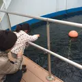 海中水族館シードーナツの写真_58819