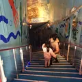 海中水族館シードーナツの写真_58826
