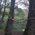 長老湖の写真_58849