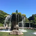 材木岩の写真_58853