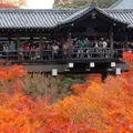 東福寺の写真_58916