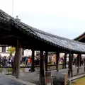 東福寺の写真_58922