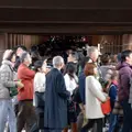 東福寺の写真_58923