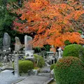 即成院の写真_58963