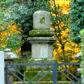 新善光寺の写真_58972