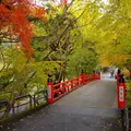 今熊野観音寺の写真_58973