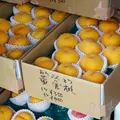 ふじみ茶屋の写真_5918