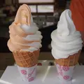 ファーム富田の写真_5925