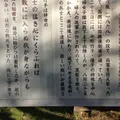 中野竹子殉節の碑の写真_59313