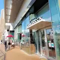 トラットリア グランボッカの写真_594890