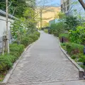 小石川後楽園の写真_595009