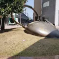 金沢駅の写真_595127