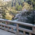 山中温泉の写真_595134