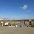 流れ橋（上津屋橋）の写真_595750
