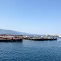 筏釣り東海の写真_5975