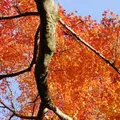 今熊野観音寺の写真_59809