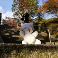 今熊野観音寺の写真_59811