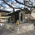 飛行神社の写真_598167