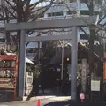 トラットリア・築地パラディーゾの写真_59988