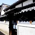 角長の写真_60156