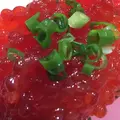 根室花まる JRタワーステラプレイス店の写真_60336